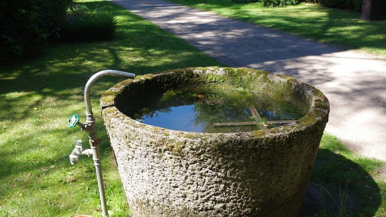 Ein Steintrog auf dem Ohlsdorfer Friedhof ist mit Wasser für die Grabpflege gefüllt: Dort soll kein Regenwasser mehr verschwendet werden.