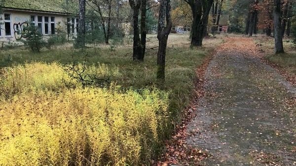 Das große, verlassene Gelände des ehemaligen Krankenhauses in Wintermoor.