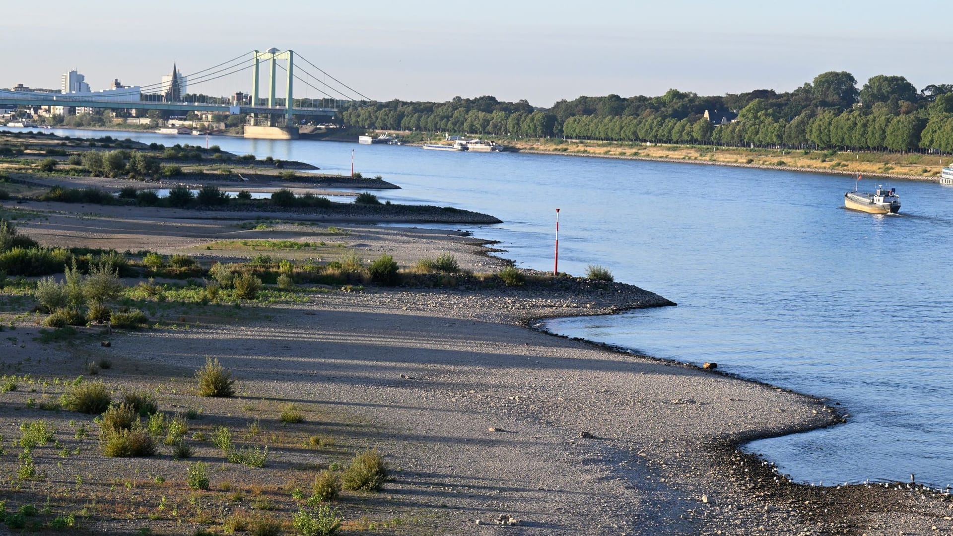 Ein Schiff fährt auf dem Rhein bei Köln. Der Fluss führt Niedrigwasser auf Grund des geringen Niederschlags.