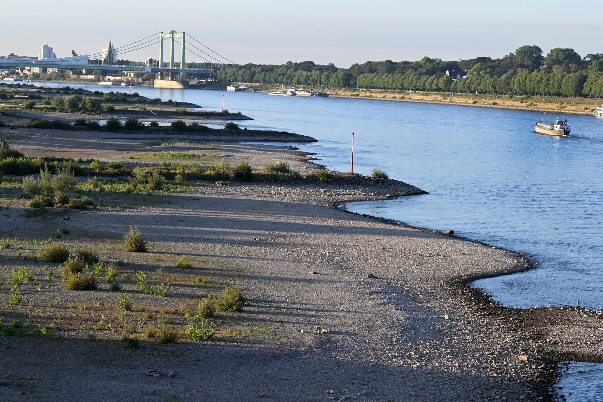 Ein Schiff fährt auf dem Rhein bei Köln. Der Fluss führt Niedrigwasser auf Grund des geringen Niederschlags.