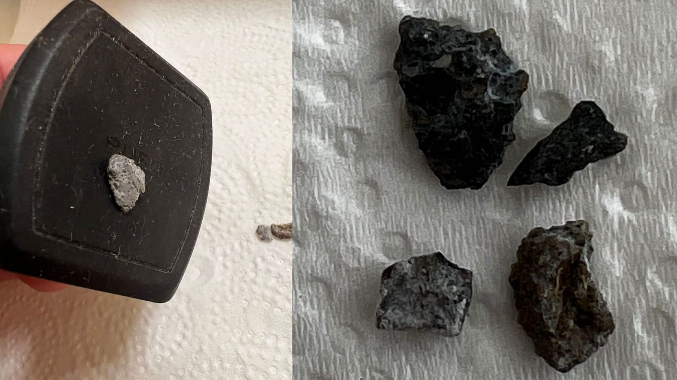 Die mutmaßlichen Meteoriten-Teilchen: Teilweise sind sie magnetisch.