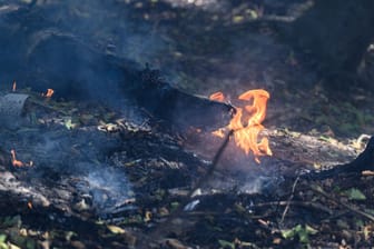 Flammen lodern an einem Glutnest: Der Brand ist noch lange nicht gelöscht.