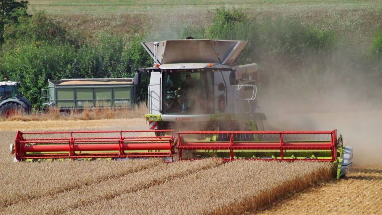 Weizenernte im bei Northeim in Niedersachsen: Im nächsten Jahr soll ausnahmsweise Weizen nach Weizen angebaut werden dürfen.