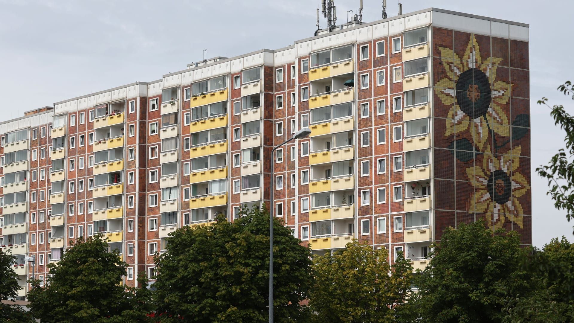 Der Sonnenblume-Block in Rostock-Lichtenhagen: Vor 30 Jahren wurde an dem Ort tagelang Aufnahmestellen und Unterkünfte für Flüchtlinge angegriffen. Der Sonnenblume-Block in Rostock-Lichtenhagen: Vor 30 Jahren wurde an dem Ort tagelang Aufnahmestellen und Unterkünfte für Flüchtlinge angegriffen.