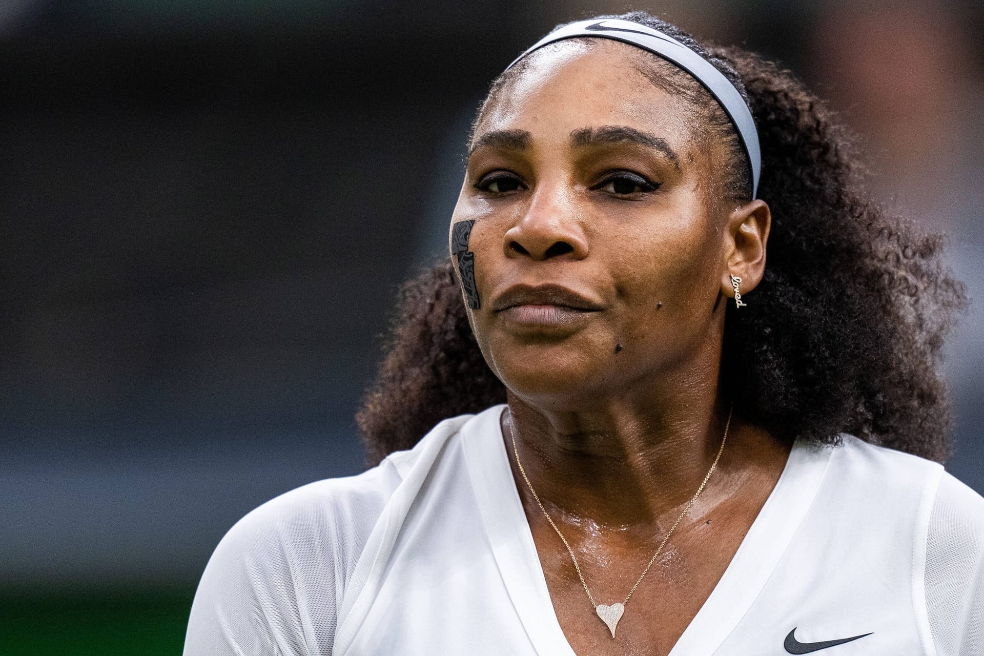 Serena Williams: Die 23-malige Grand-Slam-Siegerin ist seit 1995 Profi.