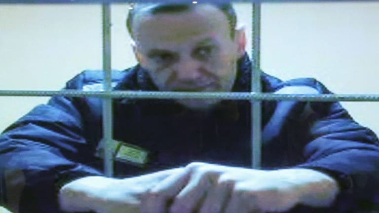 Alexej Nawalny (Archivbild): Der Kremlgegner war bei einer Gerichtsanhörung digital zugeschaltet.