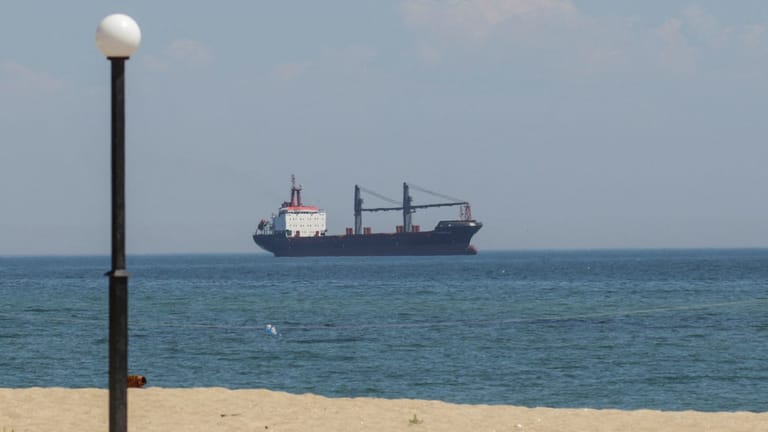 Die Fulmar S vor Tschornomorsk: Der Frachter ist der erste, nach dem Abkommen zum Ende der Seeblockade in einem ukrainischen Hafen angelegt.