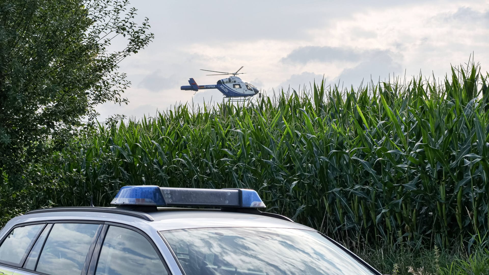 Einsatz der Polizei an einem Maisfeld (Symbolfoto): Mehr als 100 Personen suchten die Seniorin.