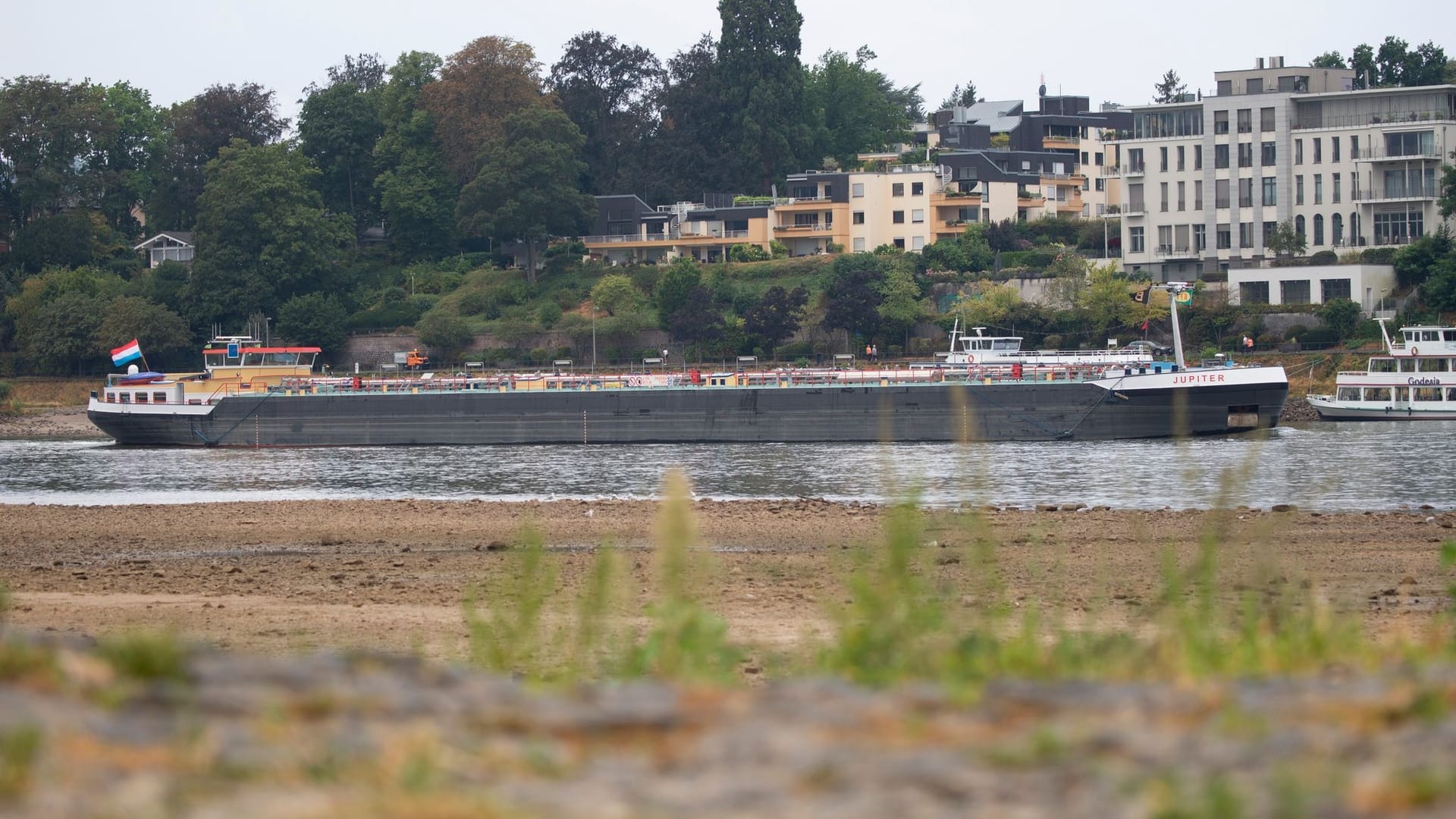 Entwicklung der Pegelstände am Rhein