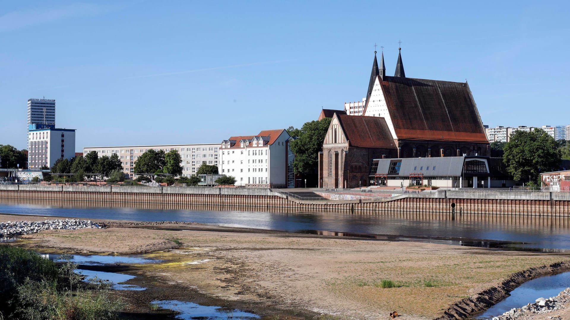 Niedrigwasser in Frankfurt an der Oder: Niedrige Pegelstände legen derzeit große Sandbänke frei.