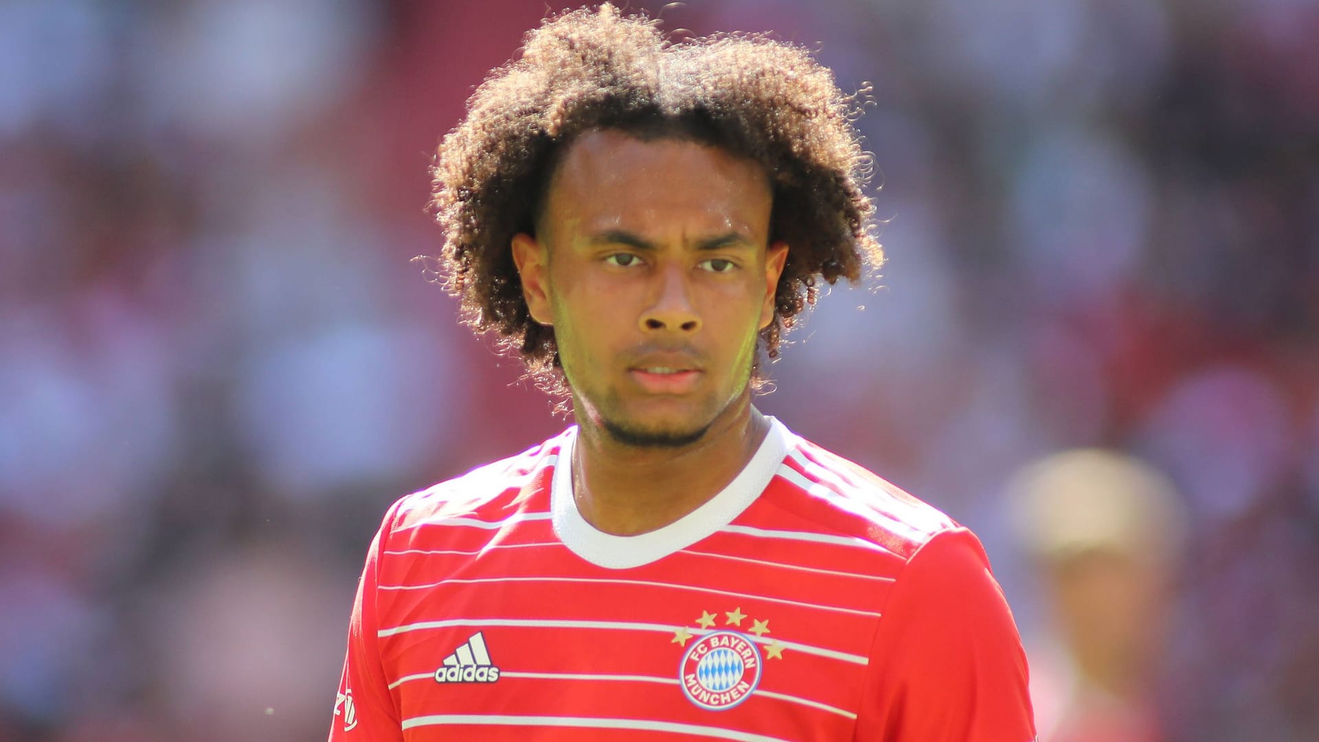 Joshua Zirkzee: Der Angreifer wird den FC Bayern allem Anschein nach verlassen.