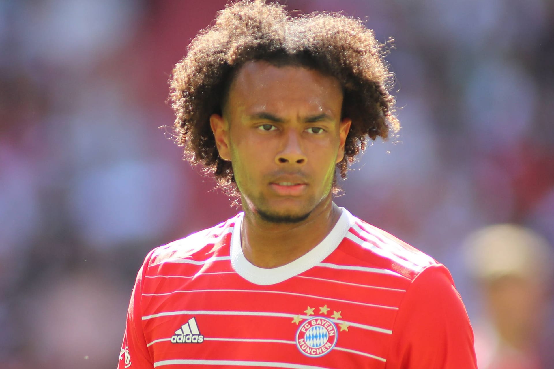 Joshua Zirkzee: Der Angreifer wird den FC Bayern allem Anschein nach verlassen.