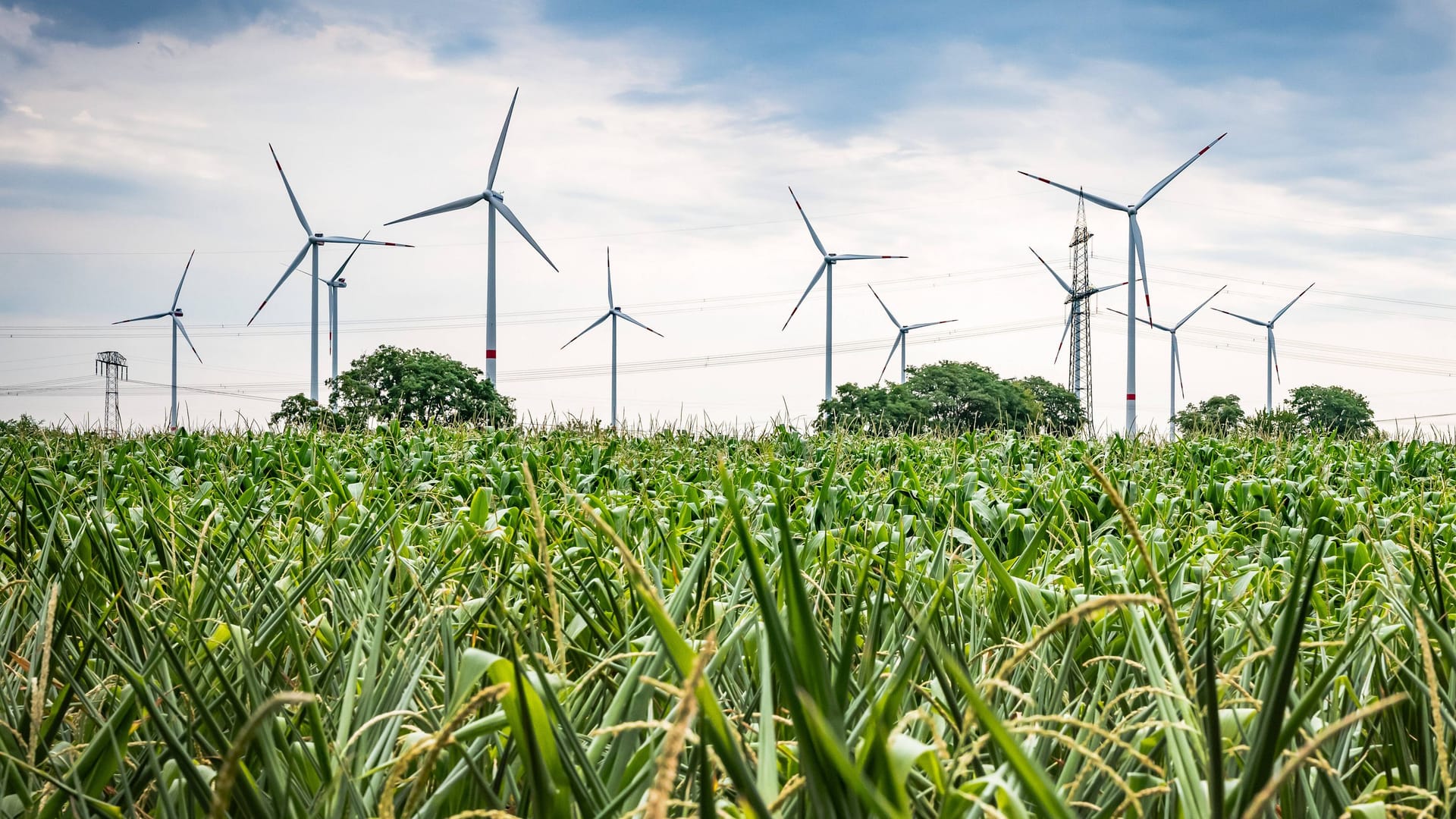 Windräder bei Barnim, Brandenburg: Bundesweit standen zuletzt rund 28.000 Windkraftanlagen auf Feldern, Hügeln und Wiesen. Doch es müssen viele Tausende mehr werden.