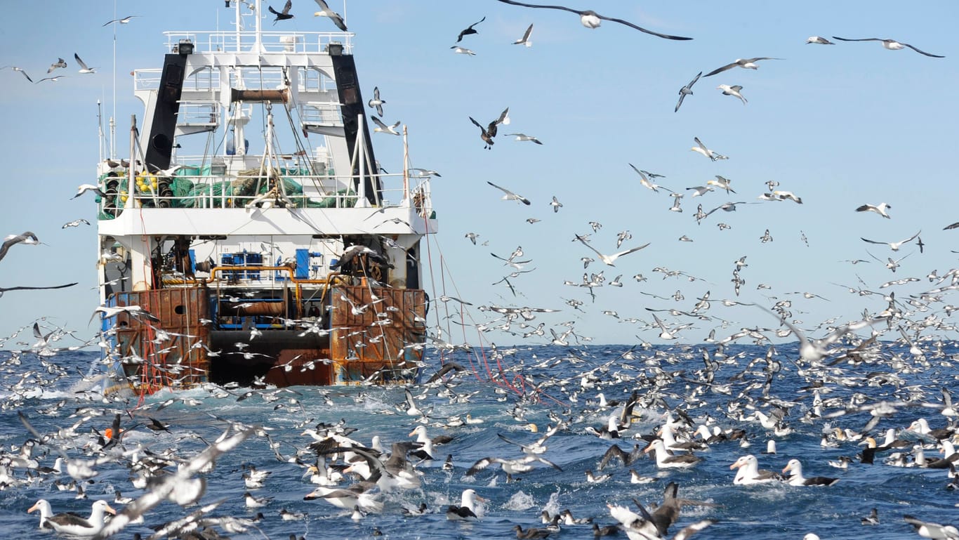 Ein südafrikanischer Trawler im Atlantik: Dass es bisher kein Artenschutzabkommen für die Hochsee gibt, hat schwere Folgen für die Fischbestände und das gesamte Ökosystem.