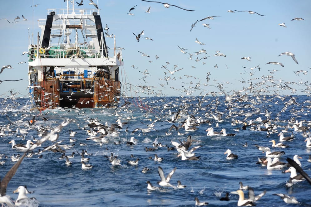Ein südafrikanischer Trawler im Atlantik: Dass es bisher kein Artenschutzabkommen für die Hochsee gibt, hat schwere Folgen für die Fischbestände und das gesamte Ökosystem.