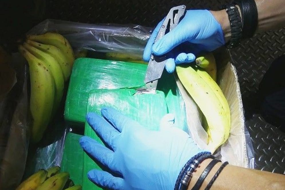 Kokain-Päckchen: Die Polizei fand die Drogen zwischen den Bananen versteckt.