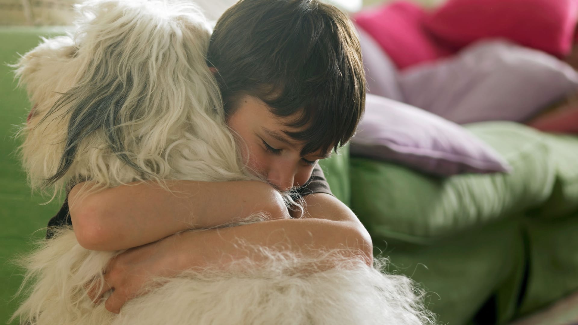 Hunde können nicht von Madenwürmern befallen sein.