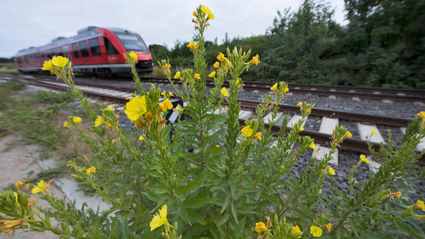 Ein Regionalzug der Deutschen Bahn (Archivbild): Etliche Betonschwellen müssen in den kommenden Monaten aus Sicherheitsgründen ausgetauscht werden.