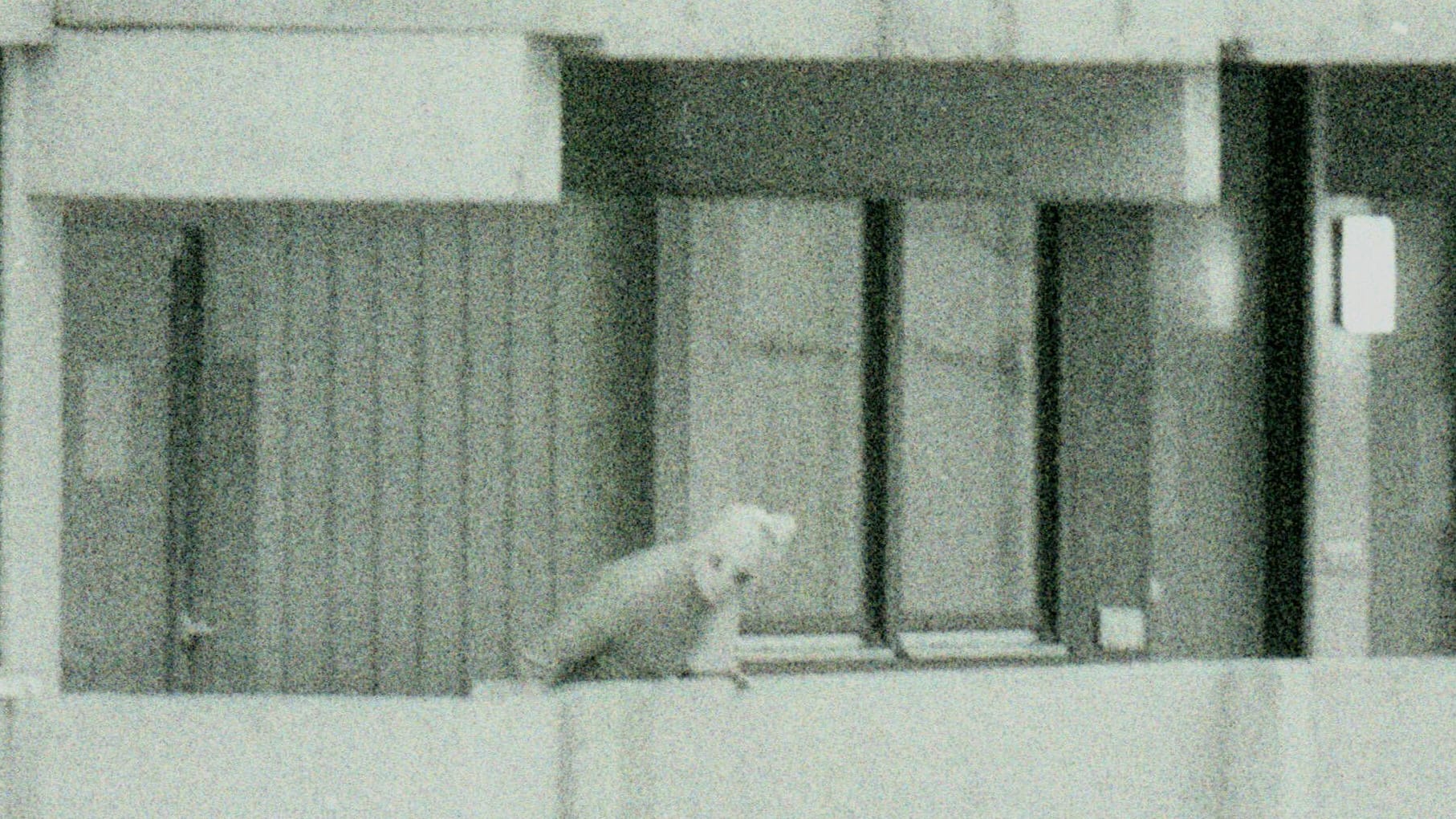 München 1972: Palästinensische Terroristen töteten elf Israelis.
