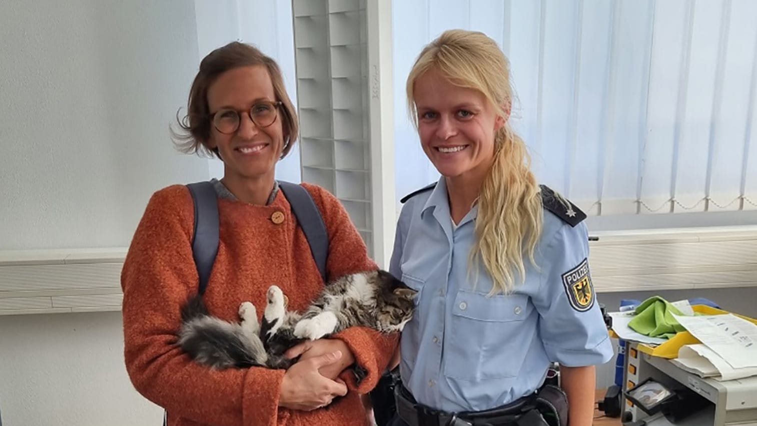 Bahnreisende Katze «Rosie» Bahnreisende Katze «Rosie»