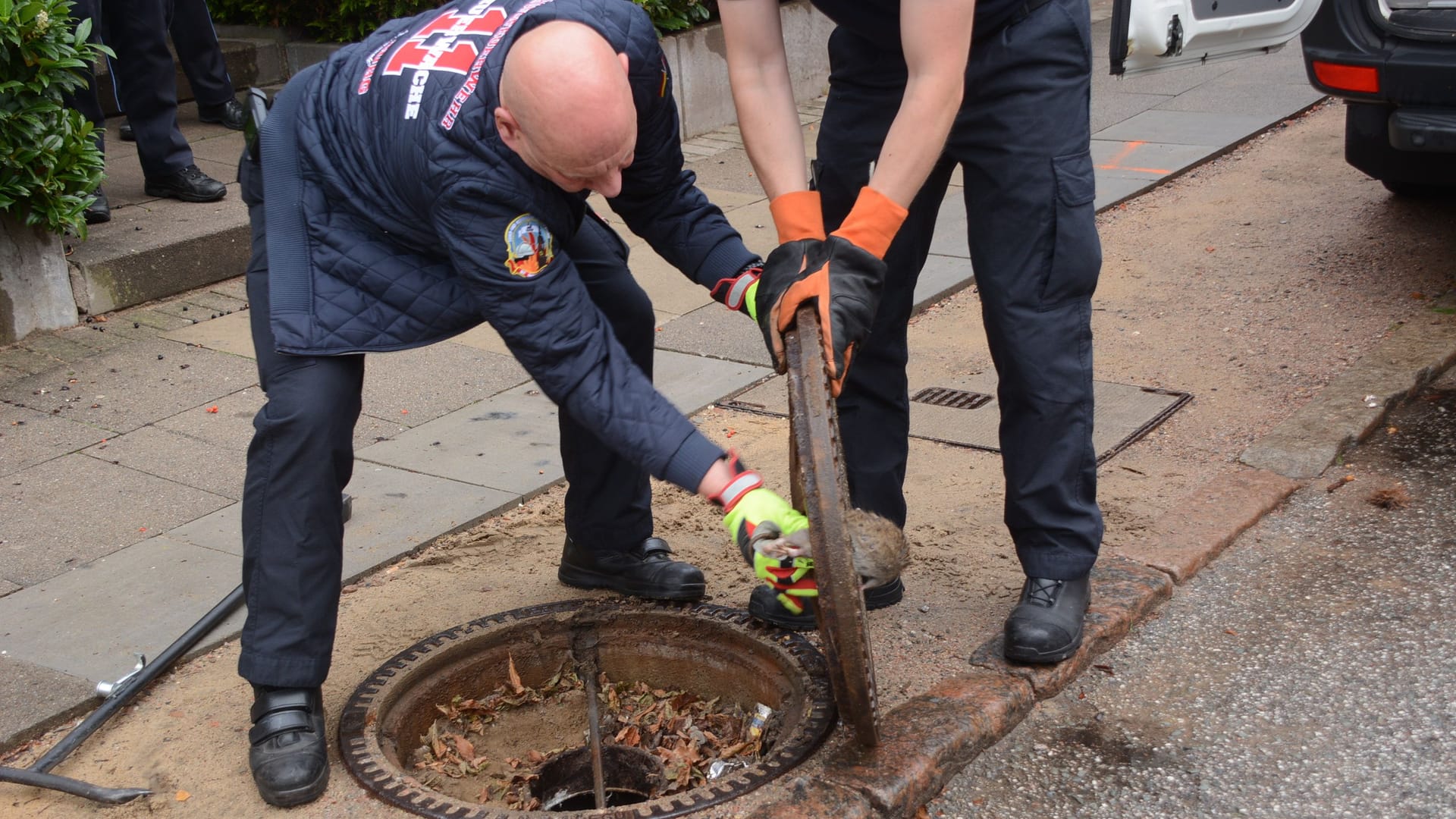 Einsatzkräfte der Feuerwehr öffneten den Gully und halfen der eingeklemmten Ratte.