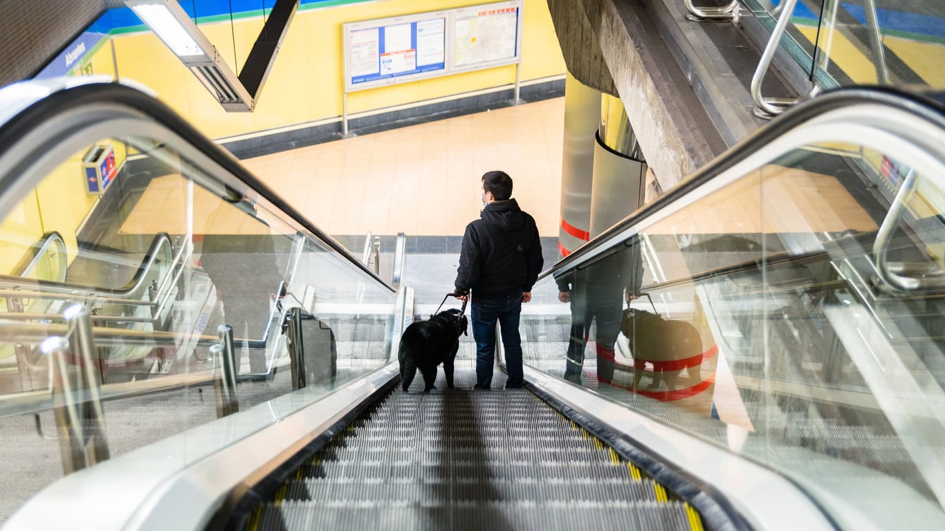 Ein Hund an der Leine mit Herrchen auf einer Rolltreppe (Symbolbild): In München wurde einem Tier die Rolltreppe zum schmerzhaften Verhängnis.