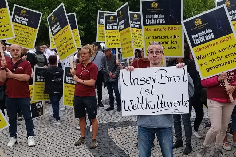 Demonstranten vor dem Neuen Rathaus in Hannover: Vielen Vertretern des Handwerks plagen existenzielle Ängste und Sorgen.