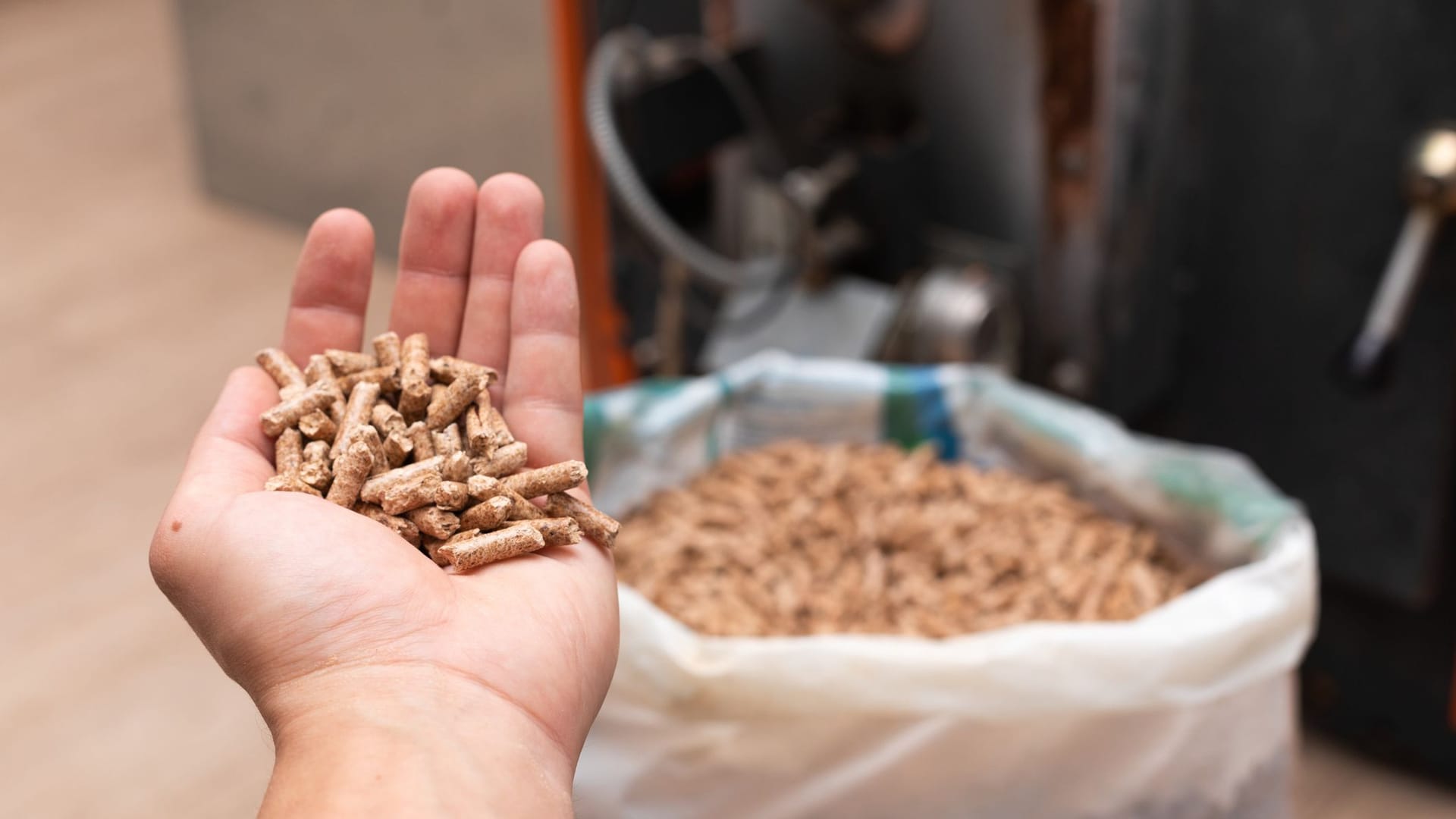 Brennmaterial: Bei Pellets lohnt sich eine Großbestellung mehr als der Kauf von Sachware.