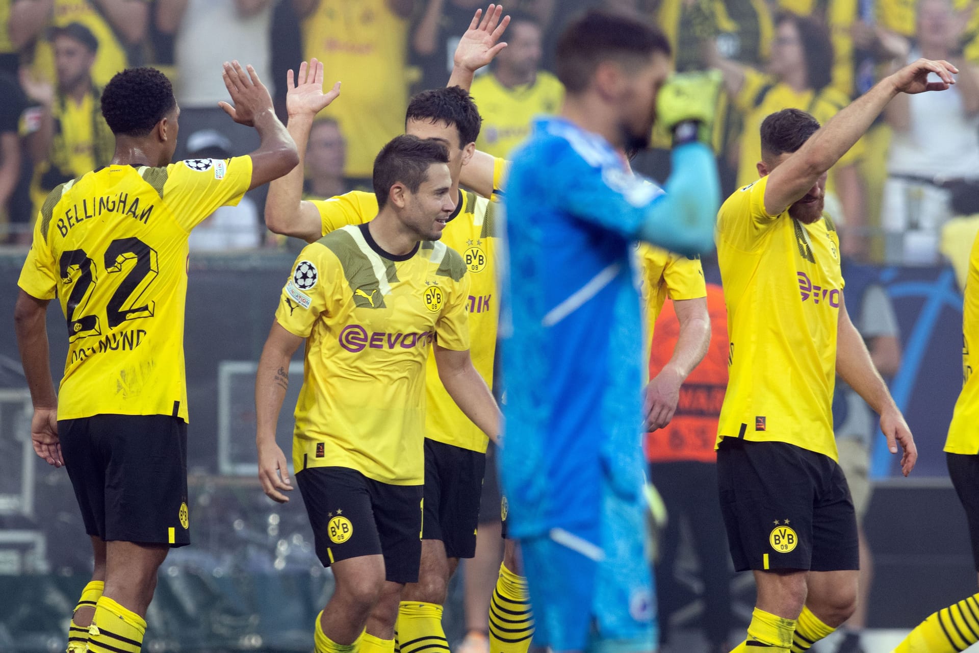 Der BVB feiert einen souveränen Auftakt in die diesjährige Champions-League-Saison. Mit 3:0 ließen die Dortmunder den Gästen vom FC Kopenhagen keine Chance. Dabei zeigten sie eine starke Mannschaftsleistung. Die t-online-Einzelkritik für die Dortmunder. Der BVB feiert einen souveränen Auftakt in die diesjährige Champions-League-Saison. Mit 3:0 ließen die Dortmunder den Gästen vom FC Kopenhagen keine Chance. Dabei zeigten sie eine starke Mannschaftsleistung. Die t-online-Einzelkritik für die Dortmunder.
