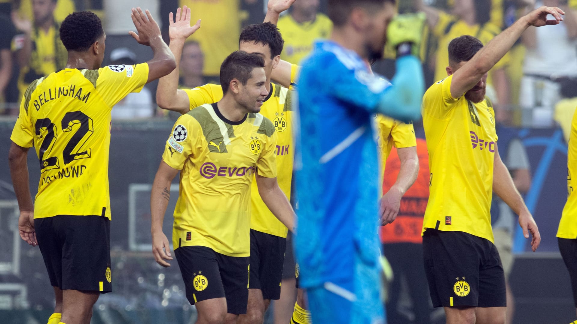 Der BVB feiert einen souveränen Auftakt in die diesjährige Champions-League-Saison. Mit 3:0 ließen die Dortmunder den Gästen vom FC Kopenhagen keine Chance. Dabei zeigten sie eine starke Mannschaftsleistung. Die t-online-Einzelkritik für die Dortmunder.