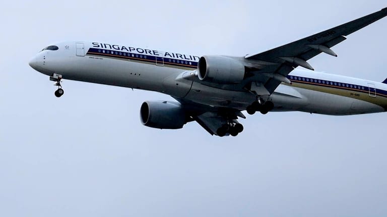 Flugzeug der Singapur Airlines (Symbolbild): Ein Passagier an Bord einer solchen Maschine sorgte für Probleme.