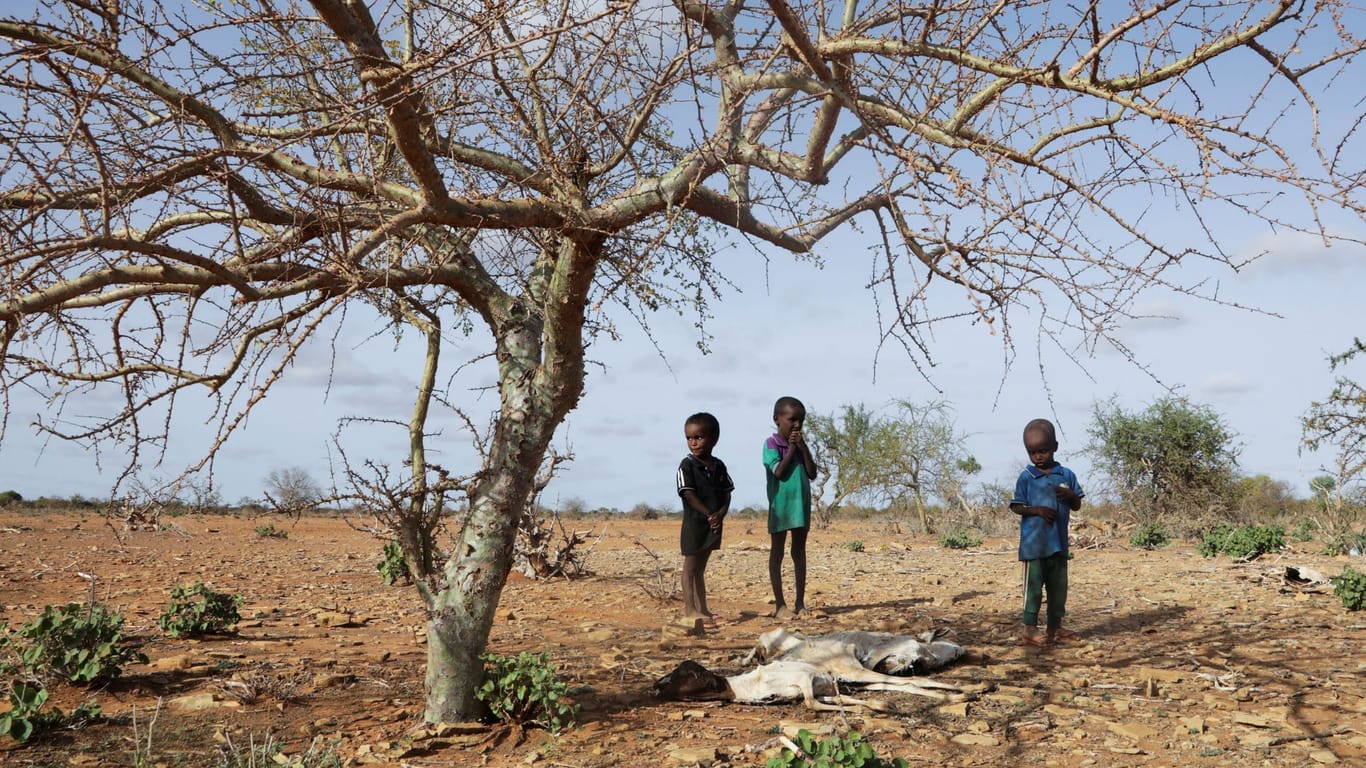 Kinder stehen in Somalia neben einem toten Tier: Dem Land droht auch aufgrund der Klimakrise eine Hungersnot.