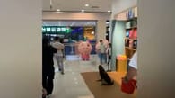 Seehund jagt Kunden durch Einkaufscenter