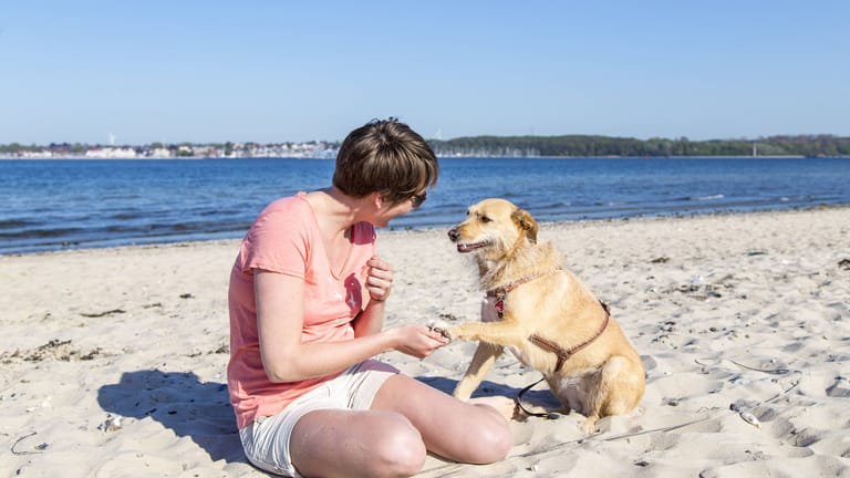 Mit Hund im hohen Norden: In Kiel lockt nicht nur der Strand Zwei- und Vierbeiner.