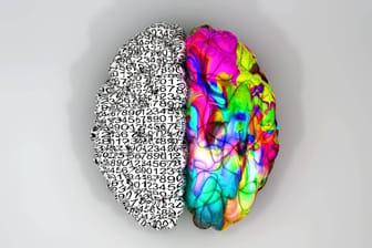Das menschliche Gehirn: Wie steht es um Ihr Allgemeinwissen?