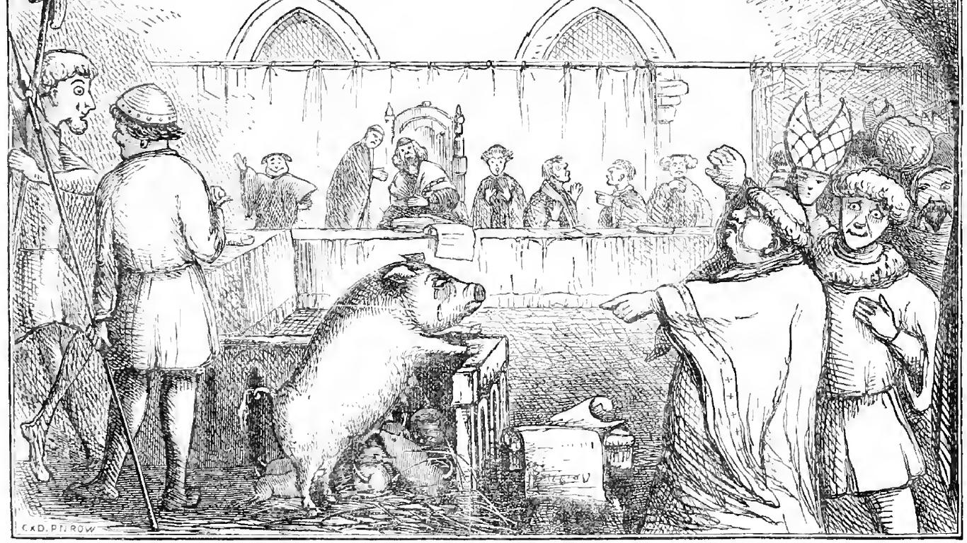 Sau mit Ferkeln vor Gericht: Für das Säugetier ging der Prozess tödlich aus.