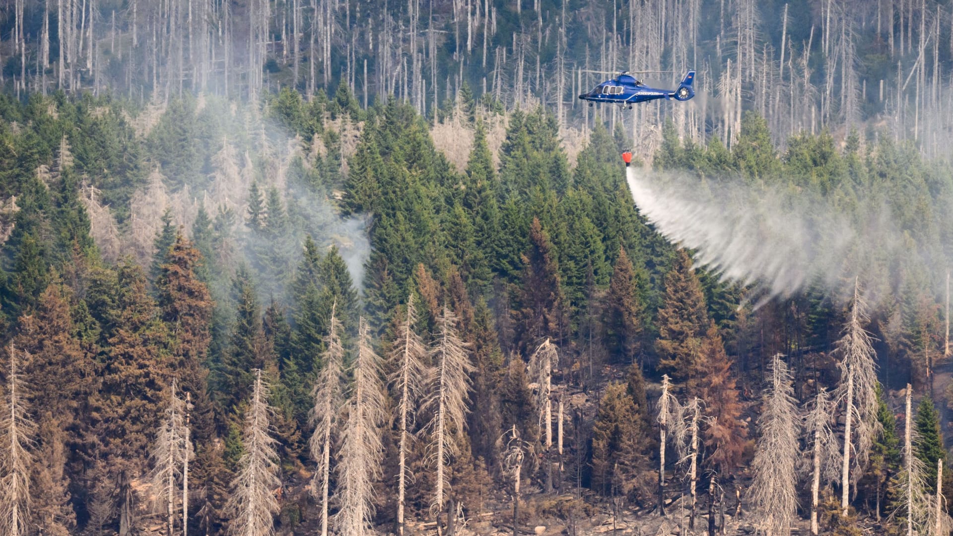 Eine Harzer Schmalspurbahn HSB mit Löschtanks und ein Hubschrauber der Bundespolizei bekämpfen den Waldbrand: Noch immer brennt es auf einer großen Fläche.