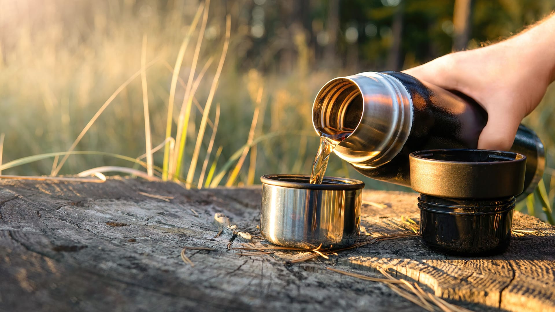 Die besten Thermoskannen von Thermos, Emsa und Co. für zu Hause und unterwegs.