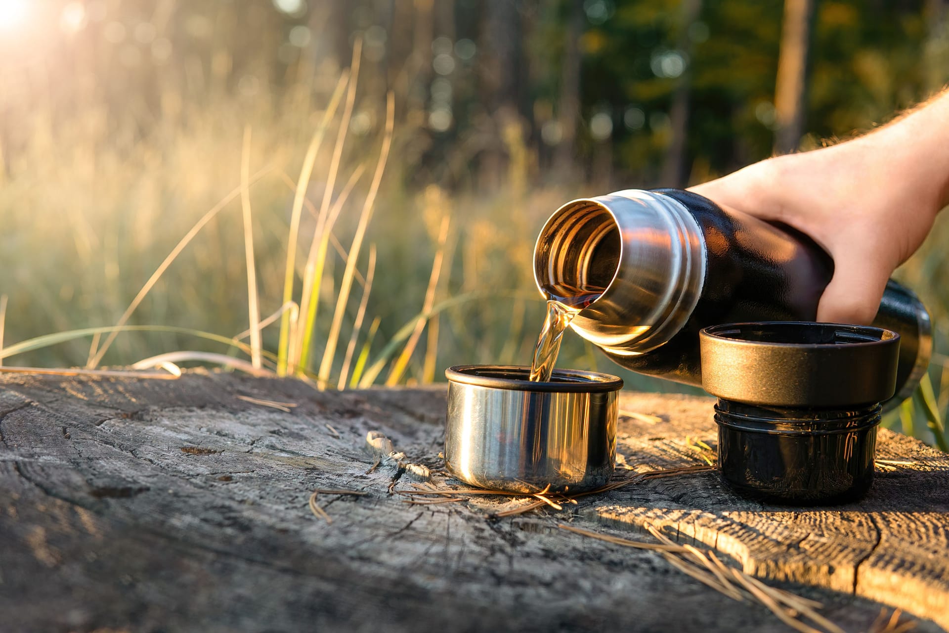 Die besten Thermoskannen von Thermos, Emsa und Co. für zu Hause und unterwegs.