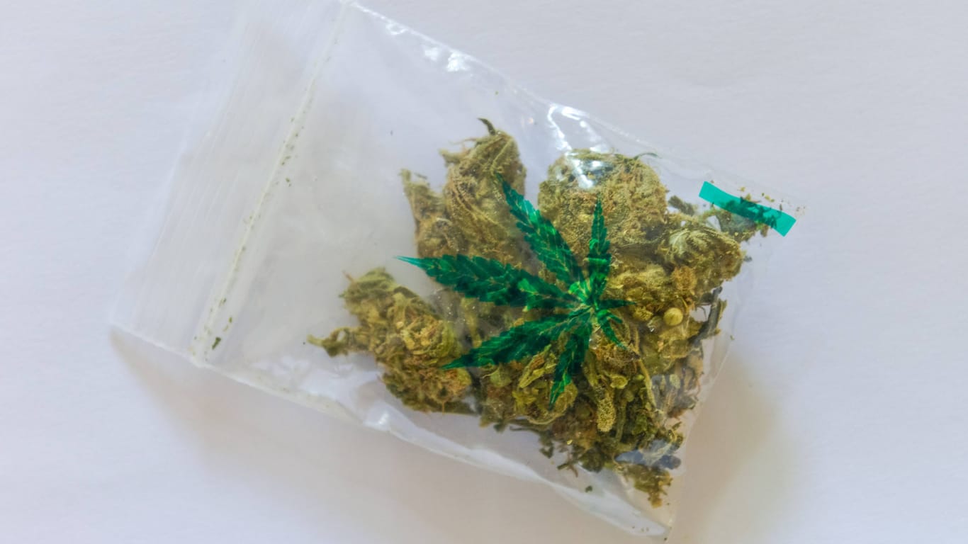 Cannabis (Symbolbild): Mehrere Verdächtige wurden verhaftet.