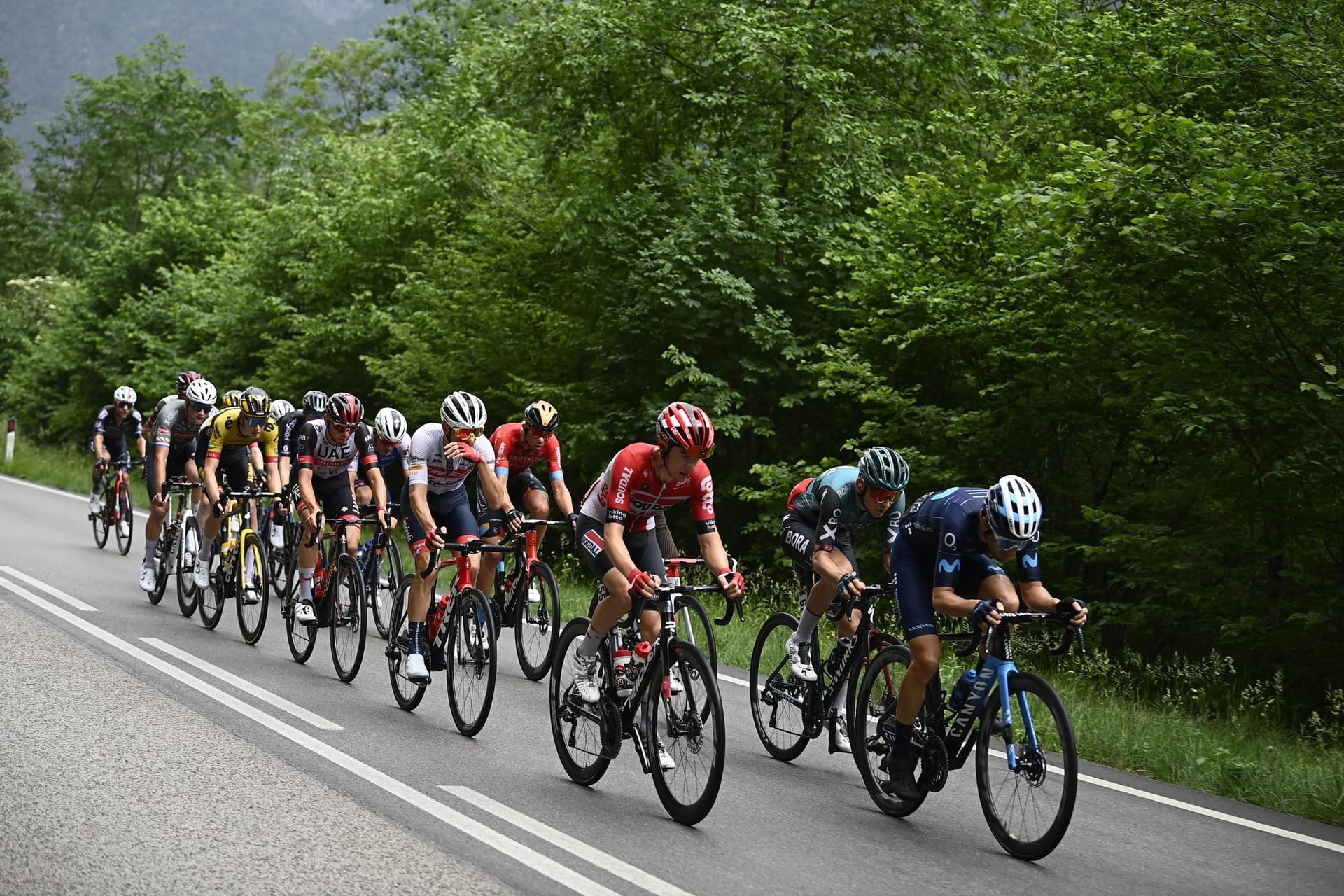 Giro d'Italia