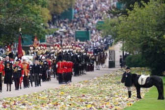 Emma: Das Lieblingspony von Queen Elizabeth II. steht am Wegesrand der letzten Prozession nach Windsor Castle.