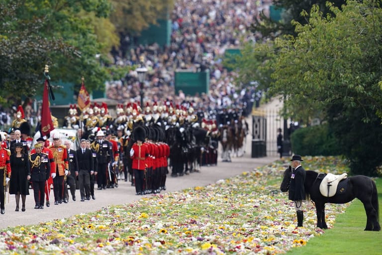 Emma: Das Lieblingspony von Queen Elizabeth II. steht am Wegesrand der letzten Prozession nach Windsor Castle.