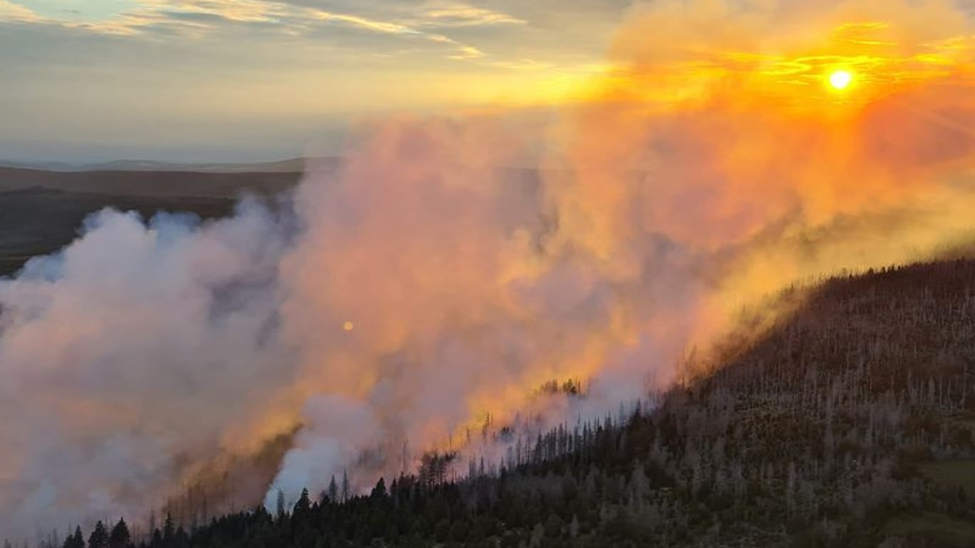 Das Feuer im Harz: Seit Samstag brennt der Wald in einem gesperrten Teil des Nationalparks.