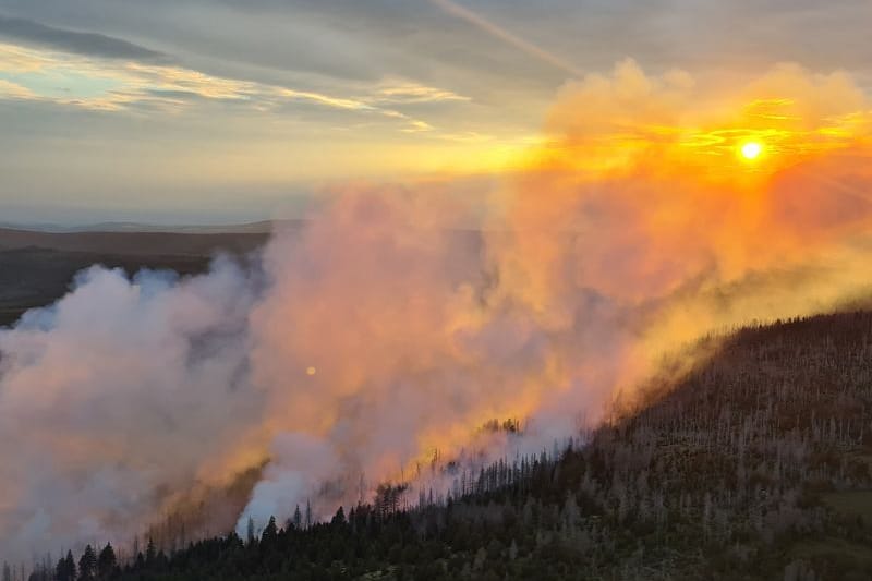 Das Feuer im Harz: Seit Samstag brennt der Wald in einem gesperrten Teil des Nationalparks.