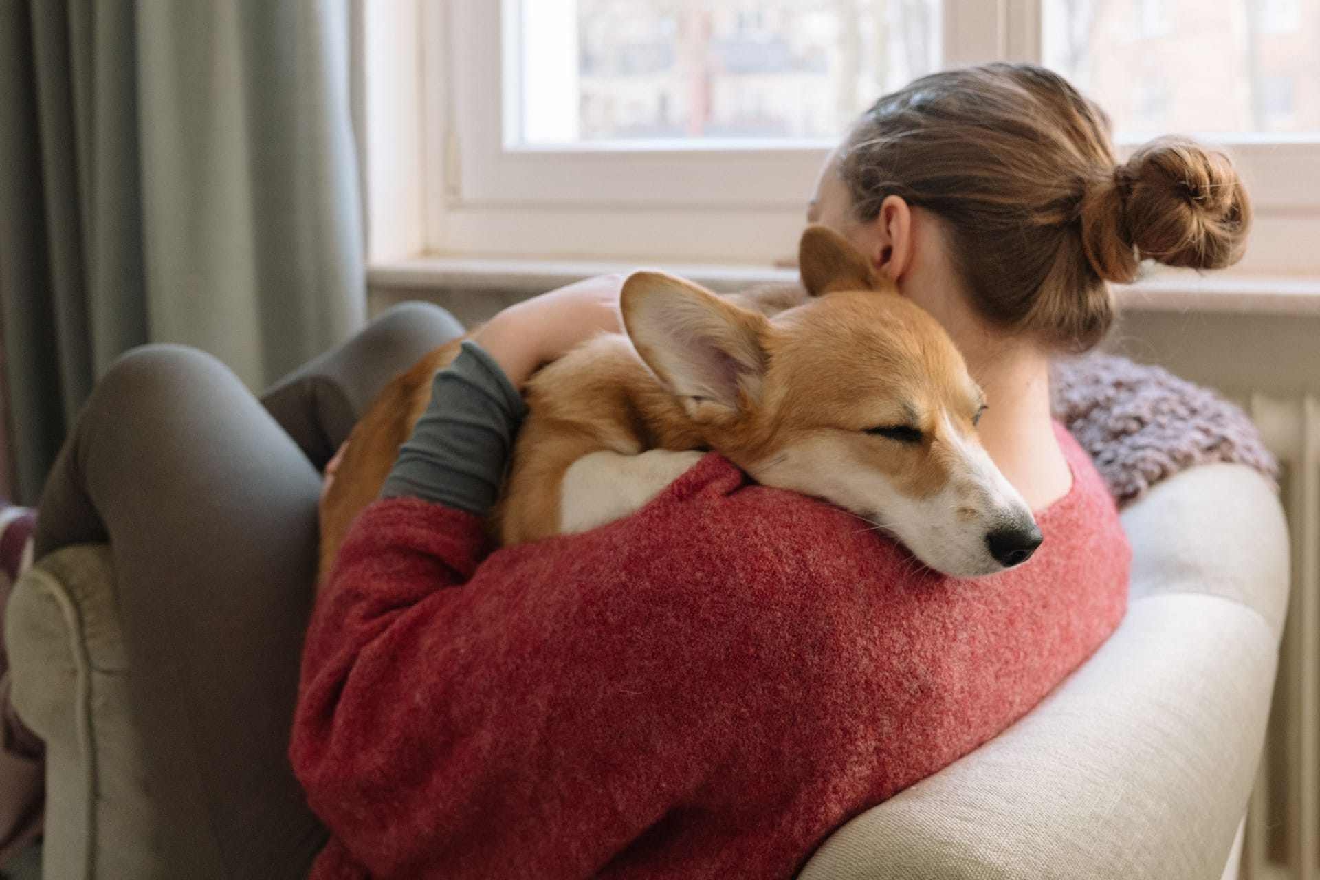 Haustiere: Abschied von dem geliebten Hund zu nehmen, ist unfassbar schwer.