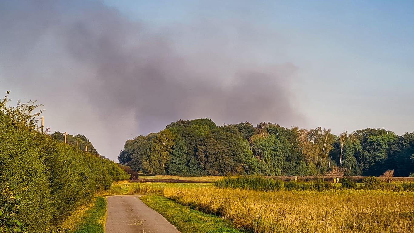 Am frühen Samstagabend wurden die Einsatzkräfte der Feuerwehr zu einem Brand in Hämelerwald alarmiert.