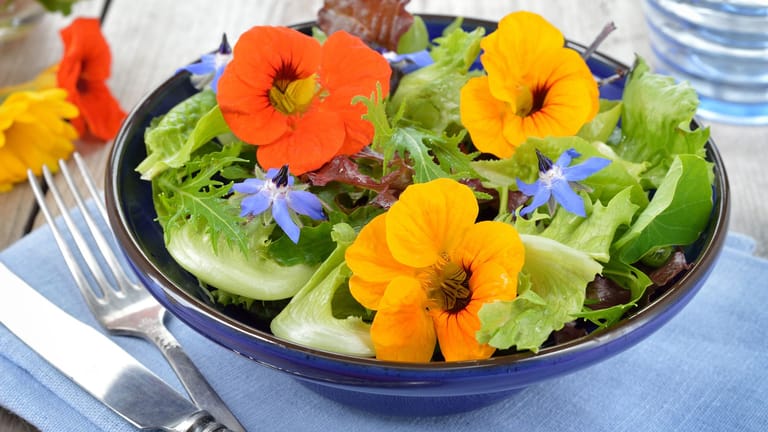 Die orangefarbenen Blüten der Kapuzinerkresse eignen sich als Garnitur für Salate und viele andere Gerichte.