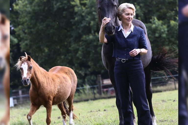 Ursula von der Leyen mit Pferden (Archivbild): "Dolly" ist das kleine rote Pony im Hintergrund.