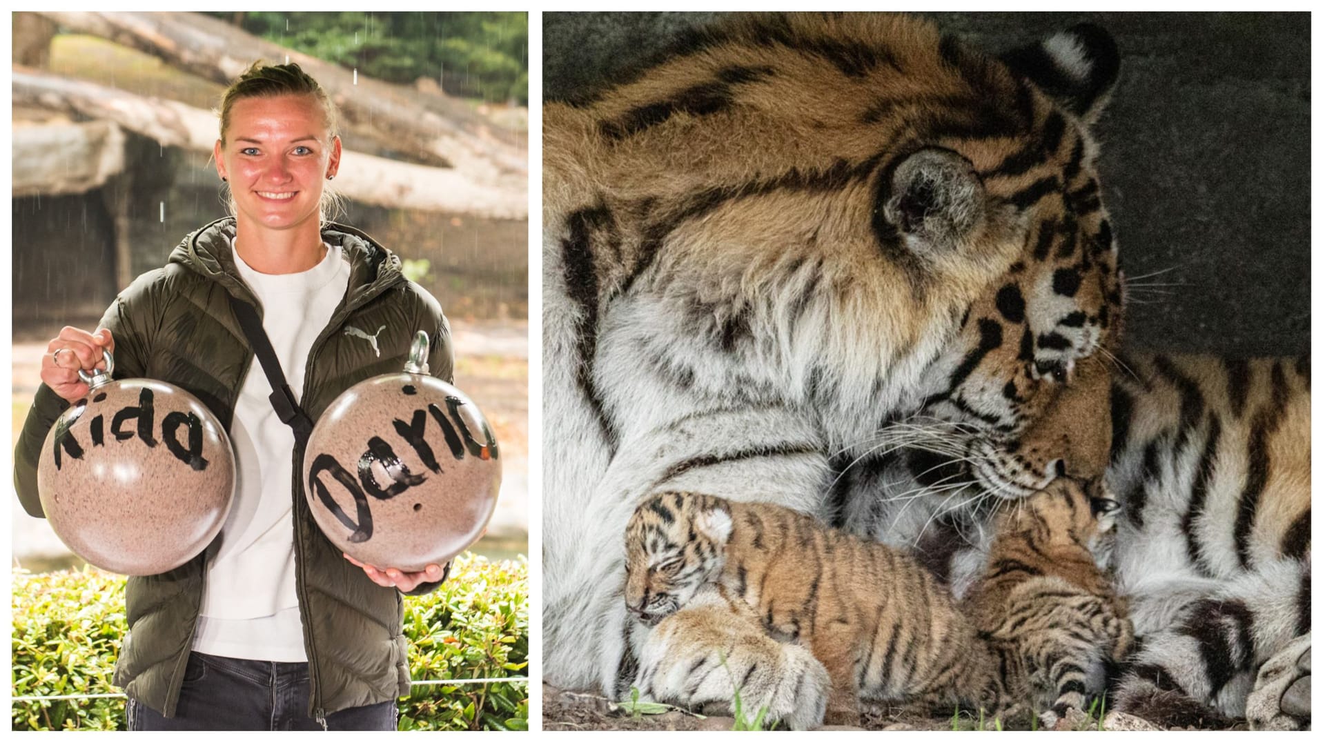 Alexandra Popp hält zwei Bewegungsbälle mit den Namen der beiden Tiger. Alexandra Popp hält zwei Bewegungsbälle mit den Namen der beiden Tiger.